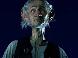 Image result for the bfg