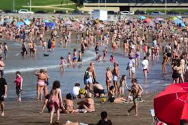 Diario La Capital de Mar del Plata - News update