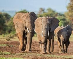 Viaje a Kenia