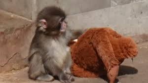 News source: Yahoo!ニュース