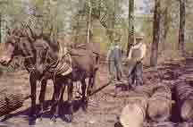 Bildergebnis für pulltite spring