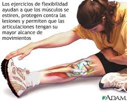 Resultado de imagen para gimnasias flexibilidad