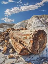 Jasper Forest Vista" - Petrified Forest National Park. | Facebook
