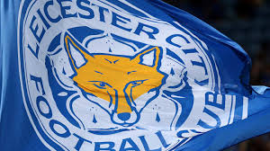 Foxes of Leicester - News update
