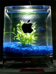 Résultat de recherche d'images pour "mac aquarium"