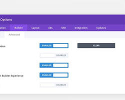 Advanced panel in Divi Theme Options