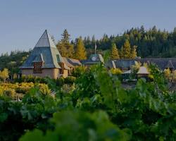 Image of Francis Ford Coppola Winery, Sonoma