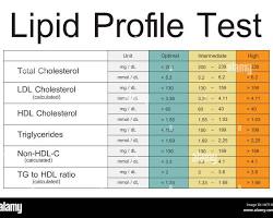 Image of Profil lipidic results