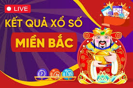 Pháp Luật và Xã hội - News update