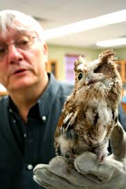 Kristi McMurry, Biology professor James Huggins gives a presentation on the rescued owl that the Biology department takes - 10600-45