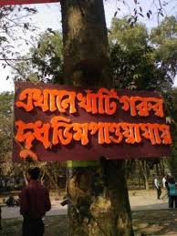 Image result for bangla funny comments