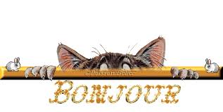 Résultat de recherche d'images pour "chat 94"