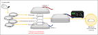 Western blot - , the free encyclopedia