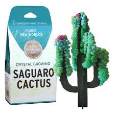 Image result for saguaro cactus