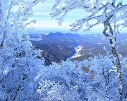 奈良縣三峰山霧冰祭的圖片