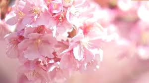 News source: Yahoo!ニュース