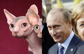 Image result for vladimir putin