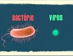 Bacterie ou virus