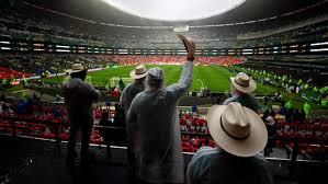 Federación Mexicana De Futbol Asociación