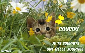 Résultat de recherche d'images </div></body></html>