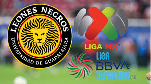 Revelan proyecto de expansión de Liga MX con 20 clubes; Leones Negros sería el 