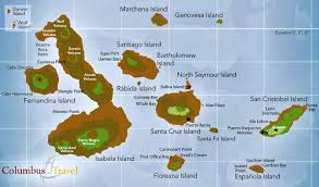 Image result for galapagos islands