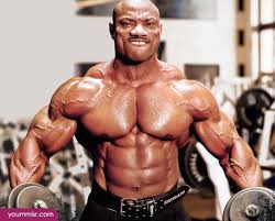 muscle champion ile ilgili görsel sonucu