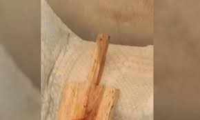 Idoso é morto com tijoladas e golpes de tábua de carne