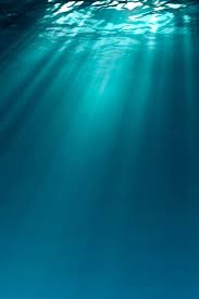 Image result for sunlight from the bottom of seas