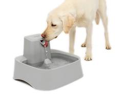 Water fountains for pets