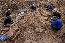 Scientists dig up Southeast Asia's largest dinosaur in Thailand | DD News