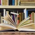 kaka 2 parrots talking voiceovers atlanta