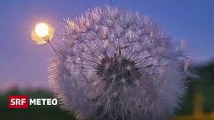 Vollmond am 1. Mai - Voll Vollmond – eh!