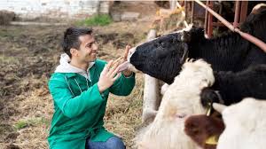 Noticias AgroPecuarias - News update