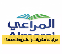 يمن برس - News update