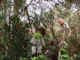 Hasil gambar untuk tempat teraneh di indonesia