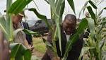 DRC's Kabila's home burned down