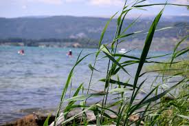 Badeunfall in Vinelz: 61-Jähriger stirbt beim Schwimmen im Bielersee