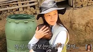 Daum - News update