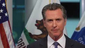 gavin newsom Picture