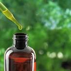 CBD Oil Review