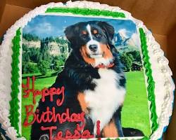 cake with a photo of a dog printed on itの画像