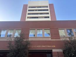 USC professor asked Jeffrey Epstein to privately fund research in 2013