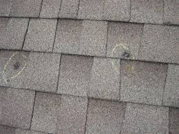 hail damage