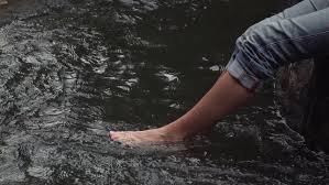 legs in the stream에 대한 이미지 검색결과