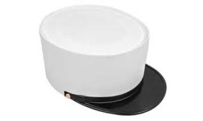 Image result for World Foreign Legions