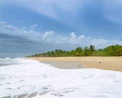 Image of Marari Beach Alleppey