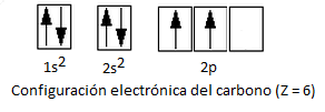 Resultado de imagen para estado basal del carbono