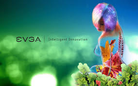 Résultat de recherche d'images pour "EVGA Images"