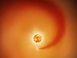 News source: WIRED.jp